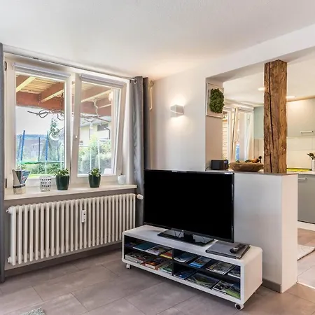 Apartment Schweizer Gaienhofen (Baden-Wurttemberg)