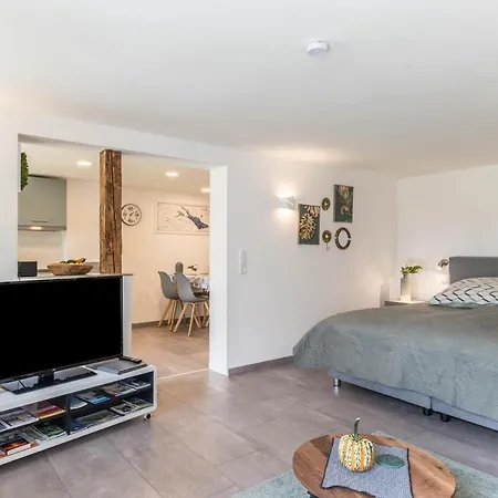 Schweizer Apartment Gaienhofen (Baden-Wurttemberg)