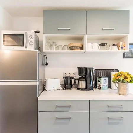 Schweizer Apartment